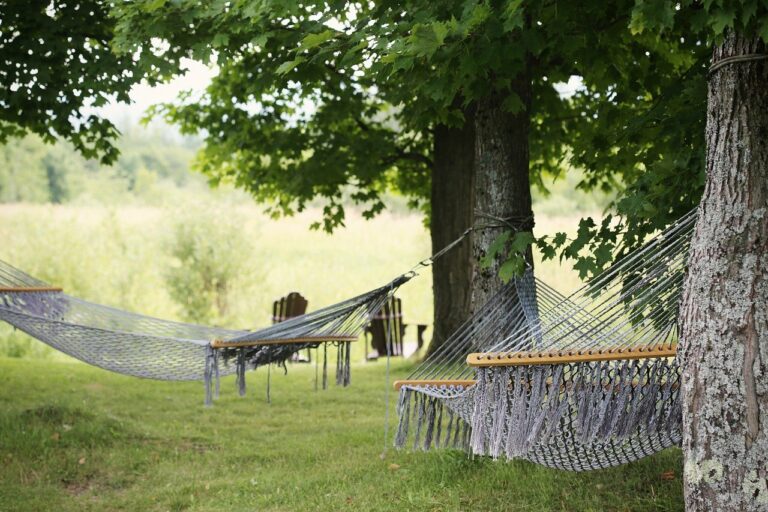 hammocks, trees, summer-413714.jpg